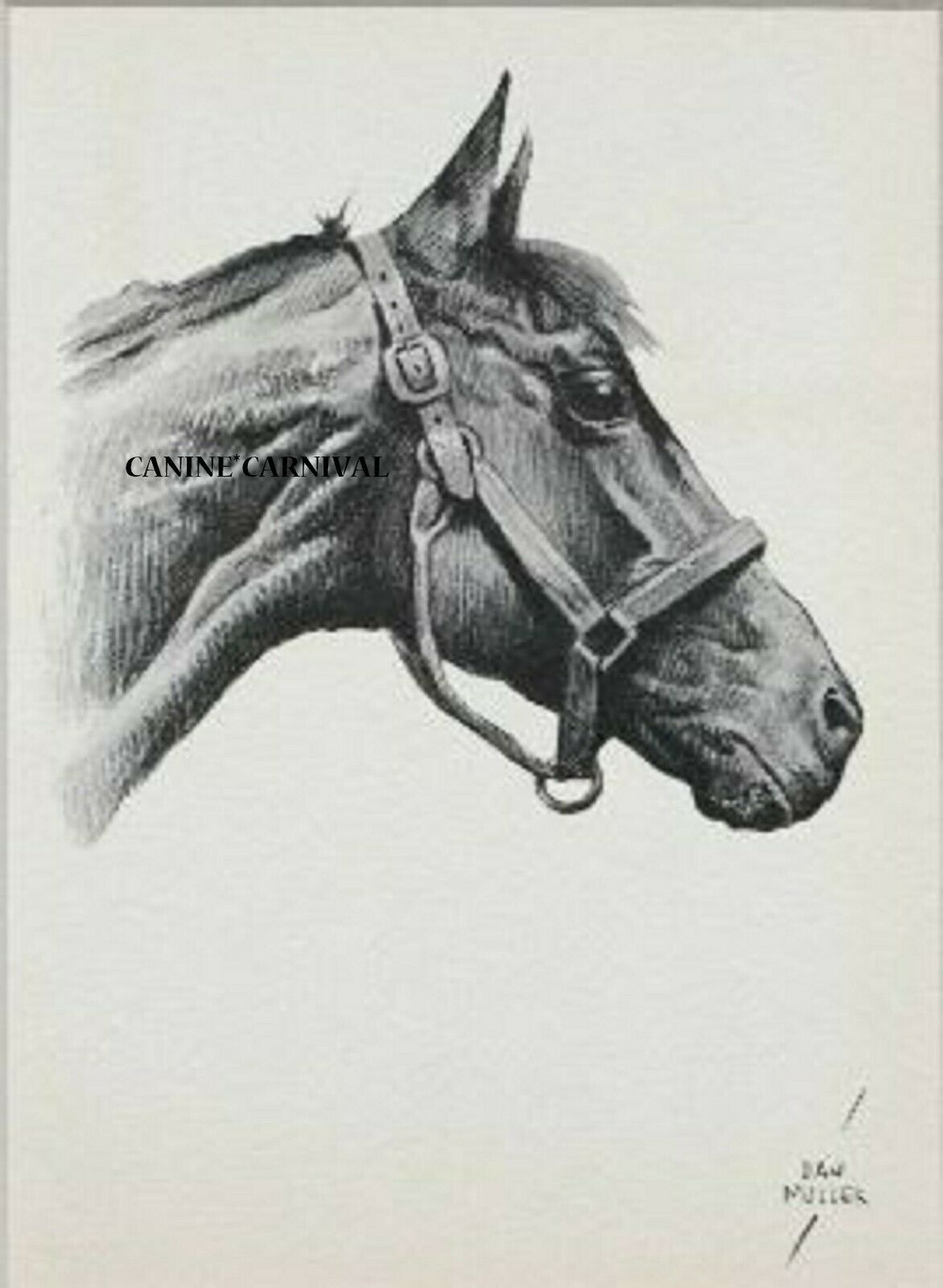 1936 Thoroughbred Racing Horse Horse Vintage Art Print