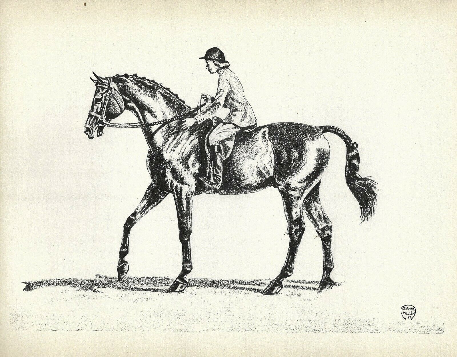 Jeanne Mellin Vintage Horse Art Print Horse  Hunter Jumper Class