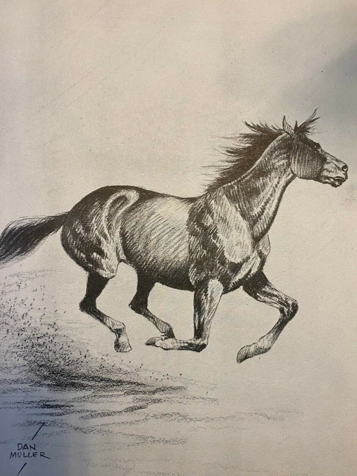 1936 -  Running Horse, Galloping Fast   Vintage Art Print