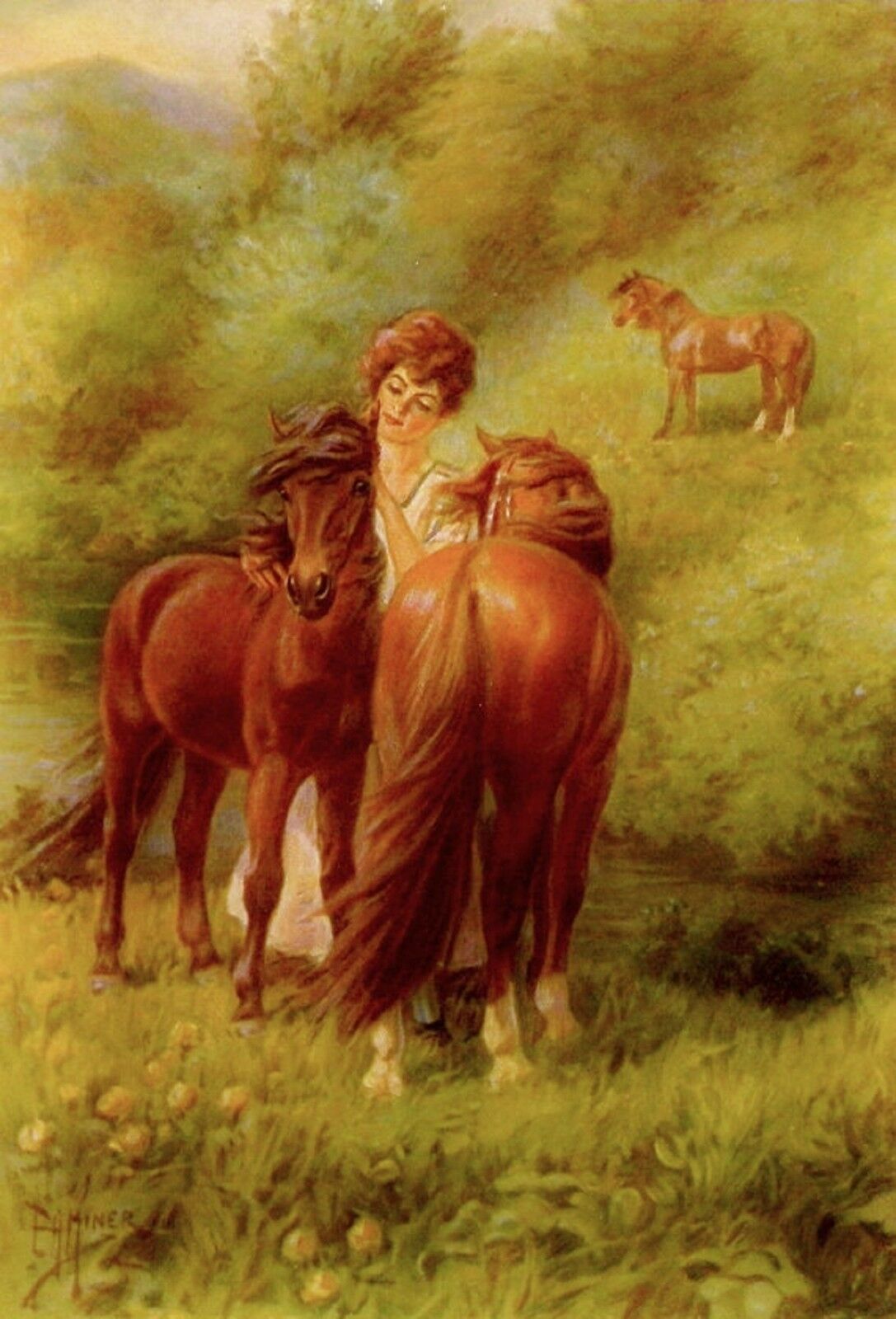 1923 Art Print Welsh Ponies In Pasture W/ Lovely Woman Pony