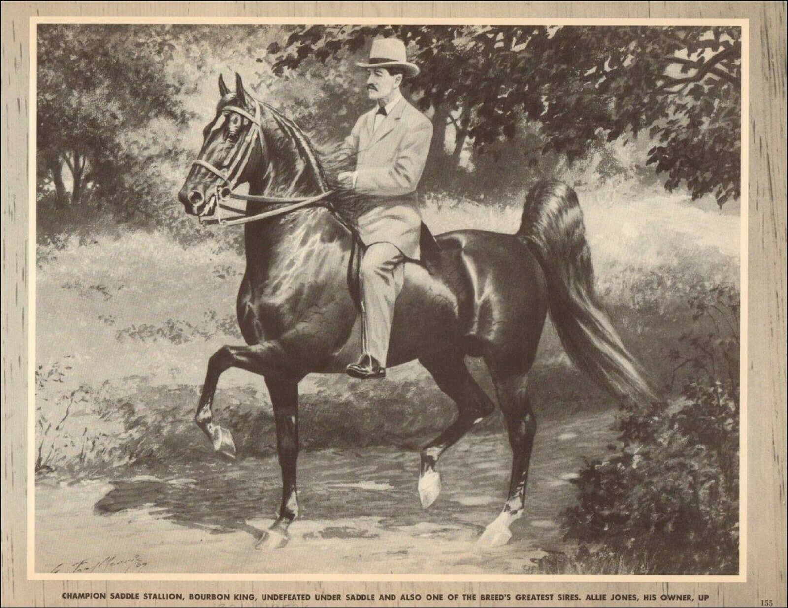 Bourbon King Ch. Saddle Horse  Jones Up-vintage 1952 Print George Ford Morris