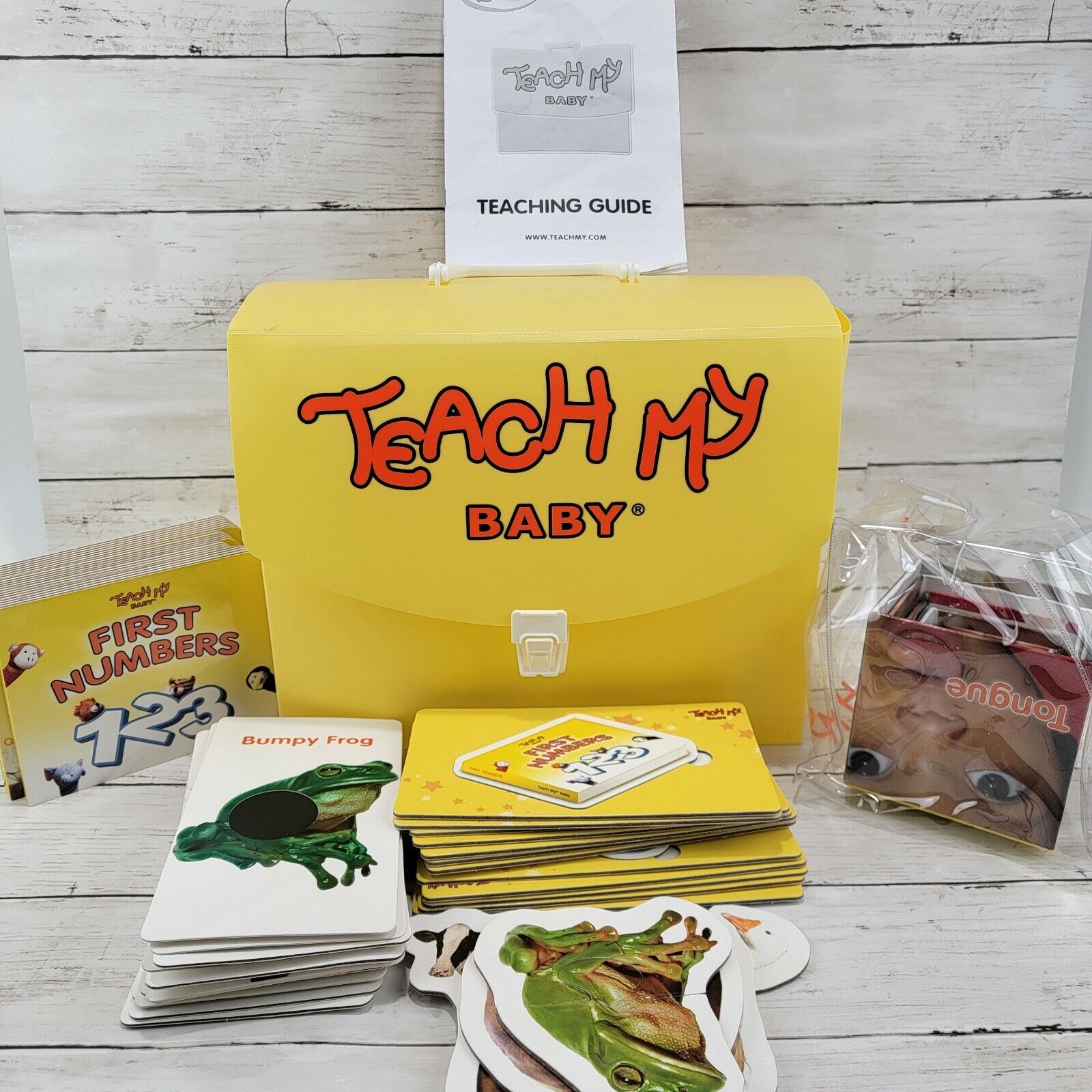 Teach My Baby Learning Kit 6+ Months - Words,numbers,sounds,touch - See Descript