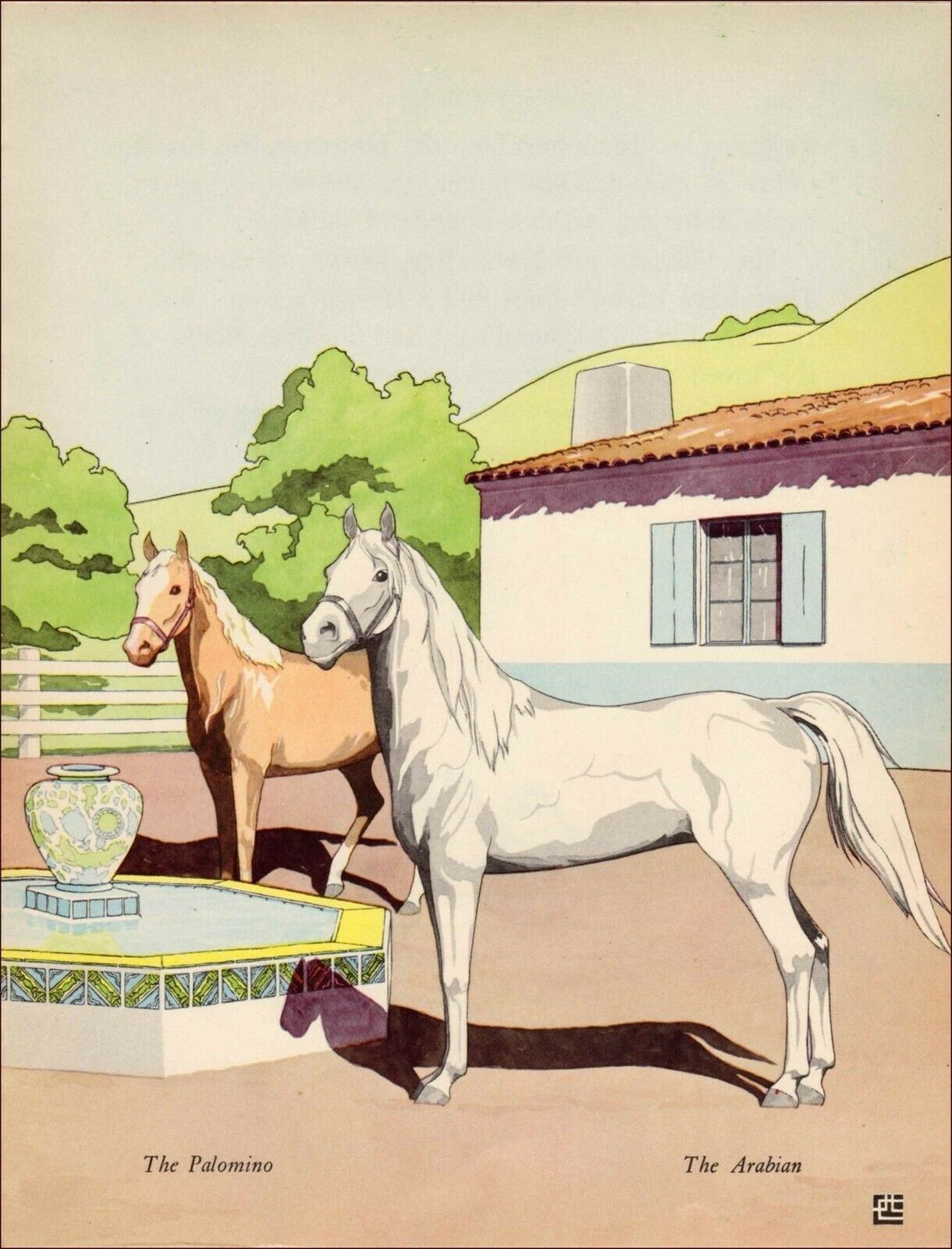 Vintage 1938  Palimino And Arabian Childrens Horse  Art Print